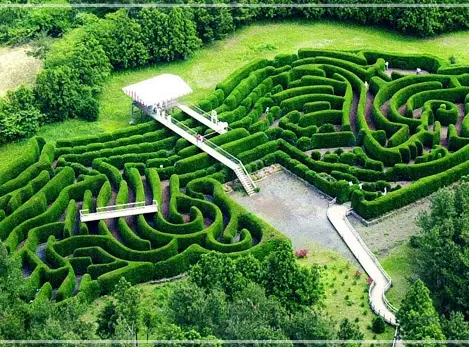 제주-김녕미로공원-입장료-운영-시간