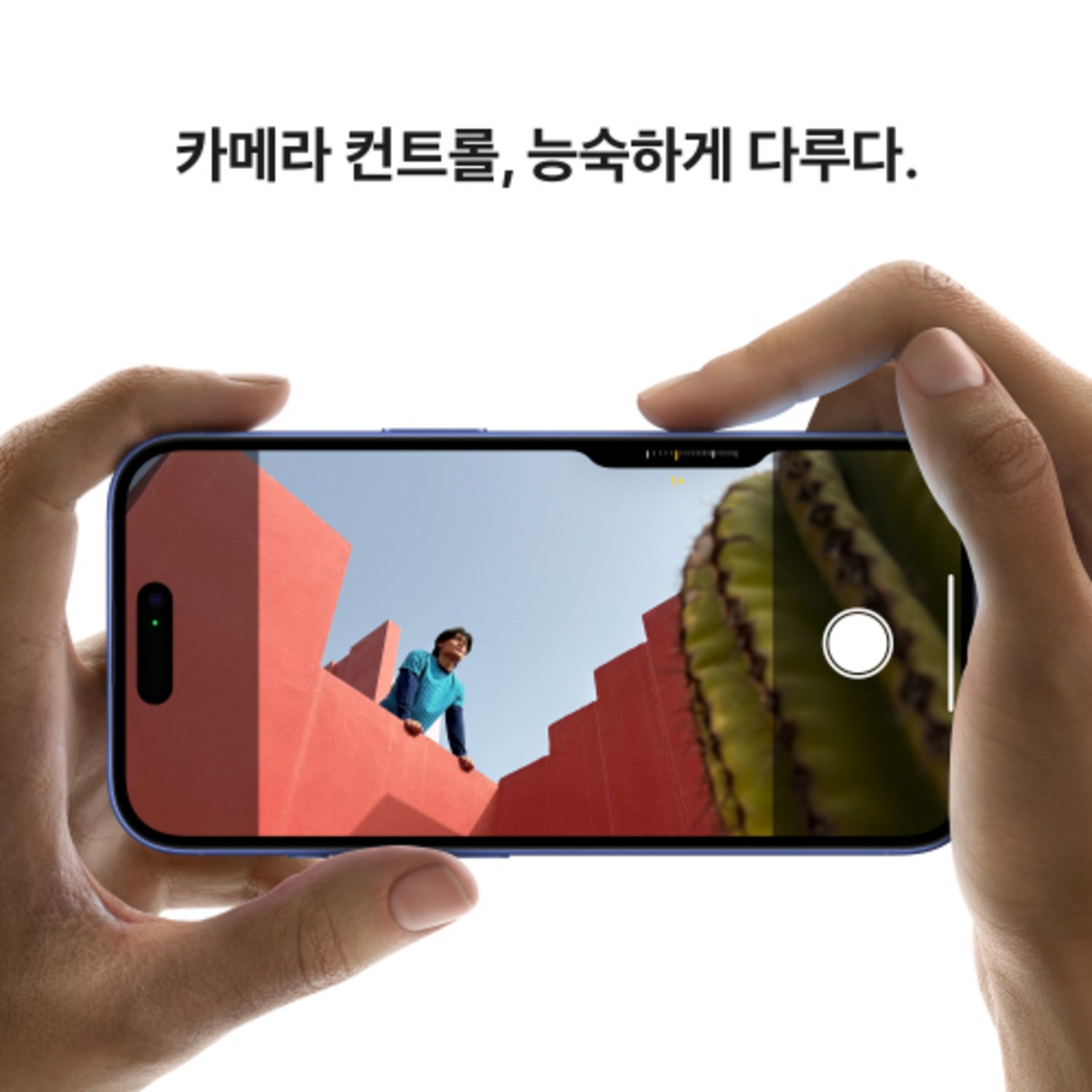 사진촬영