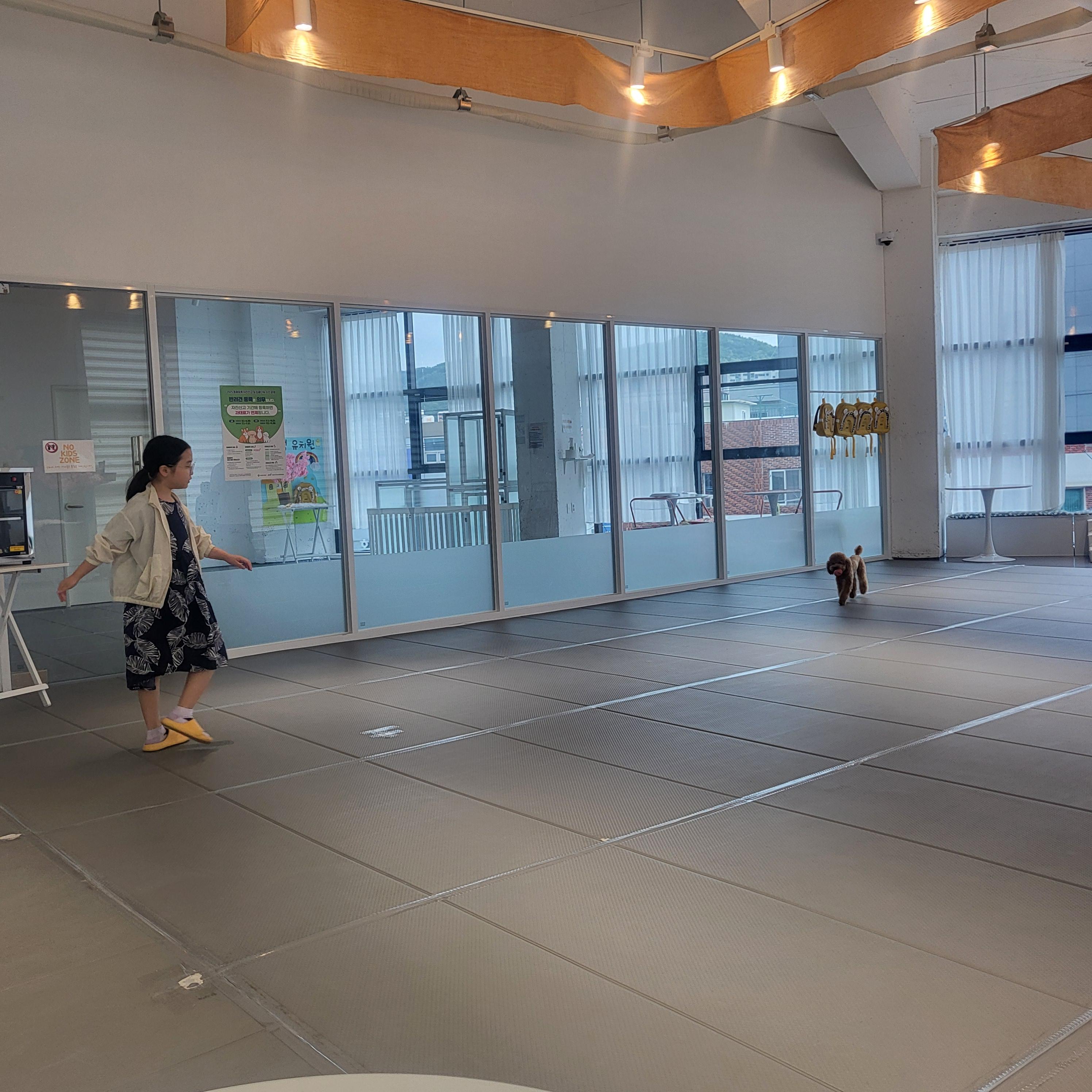 울산 애견 카페(딩동댕 애견카페)