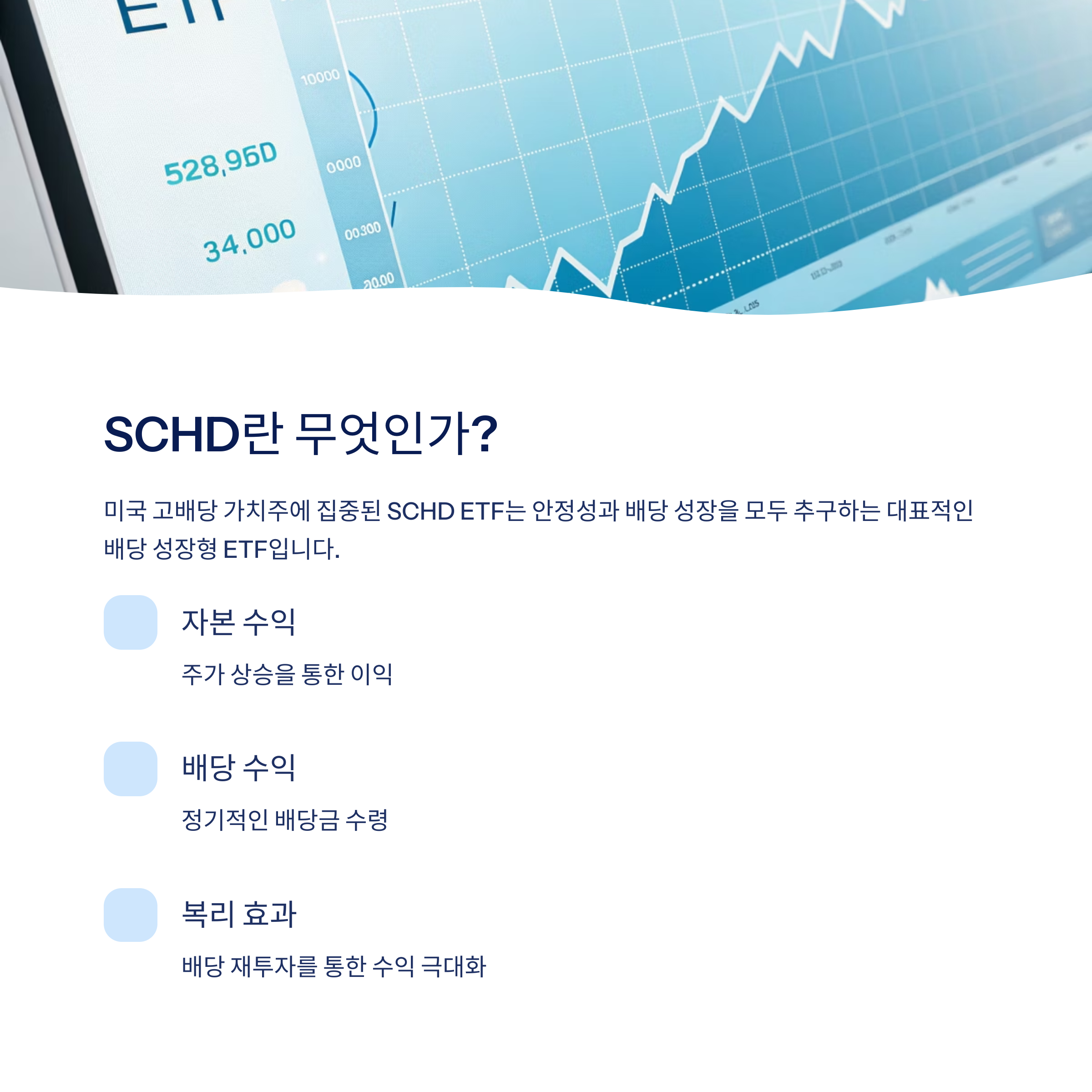 SCHD ETF 장기투자