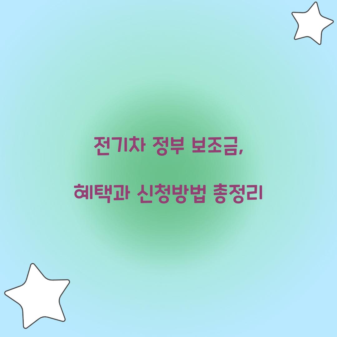 전기차 정부 보조금
