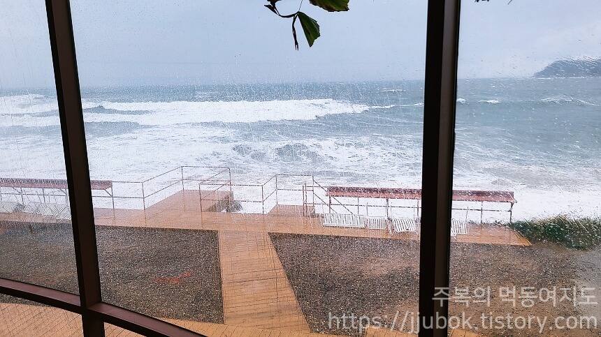 커피인터뷰-파도리-오션뷰