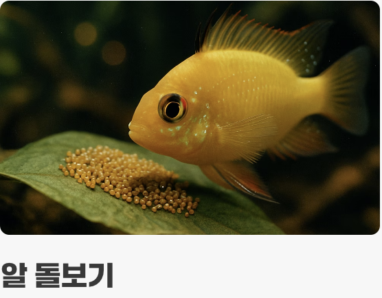 관찰하는 즐거움&amp;#44; 알콩달콩한 번식