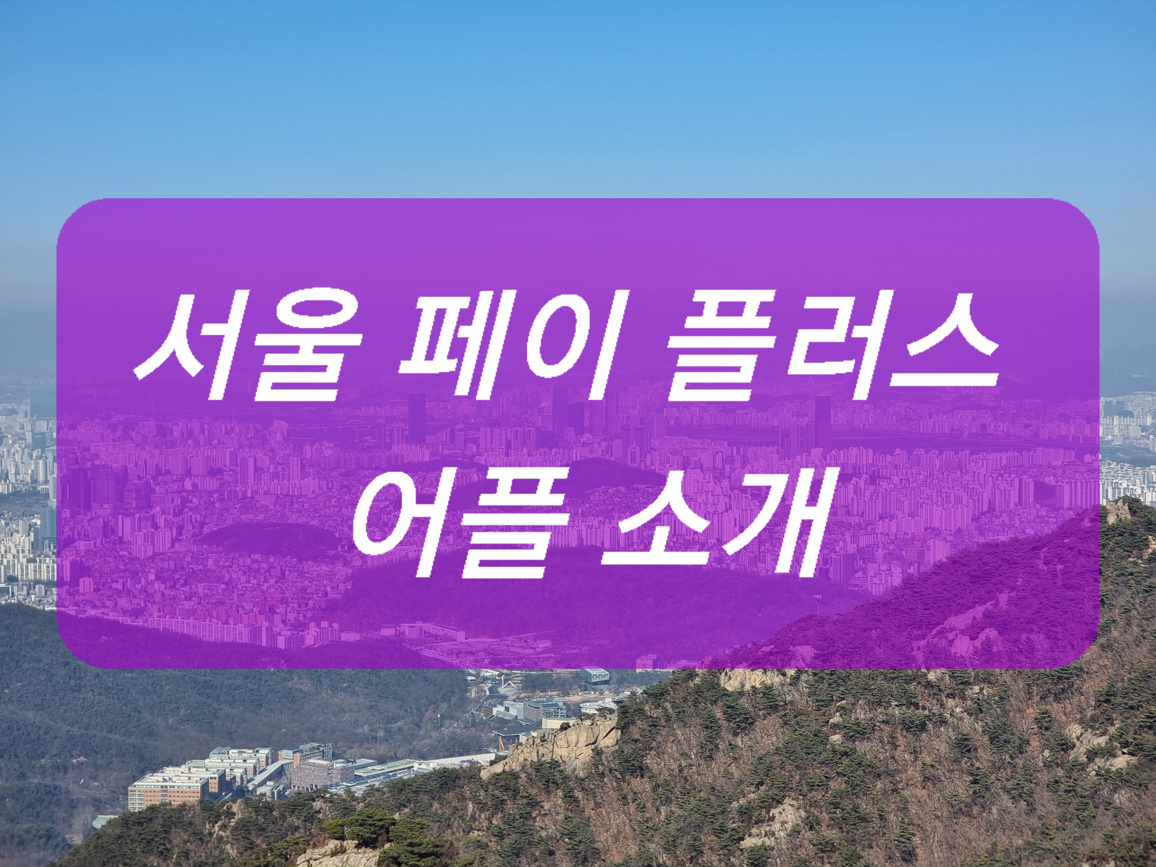 서울사랑상품권 할인

지역화폐 혜택

제로페이 가맹점

모바일 온누리상품권

정책수당 사용