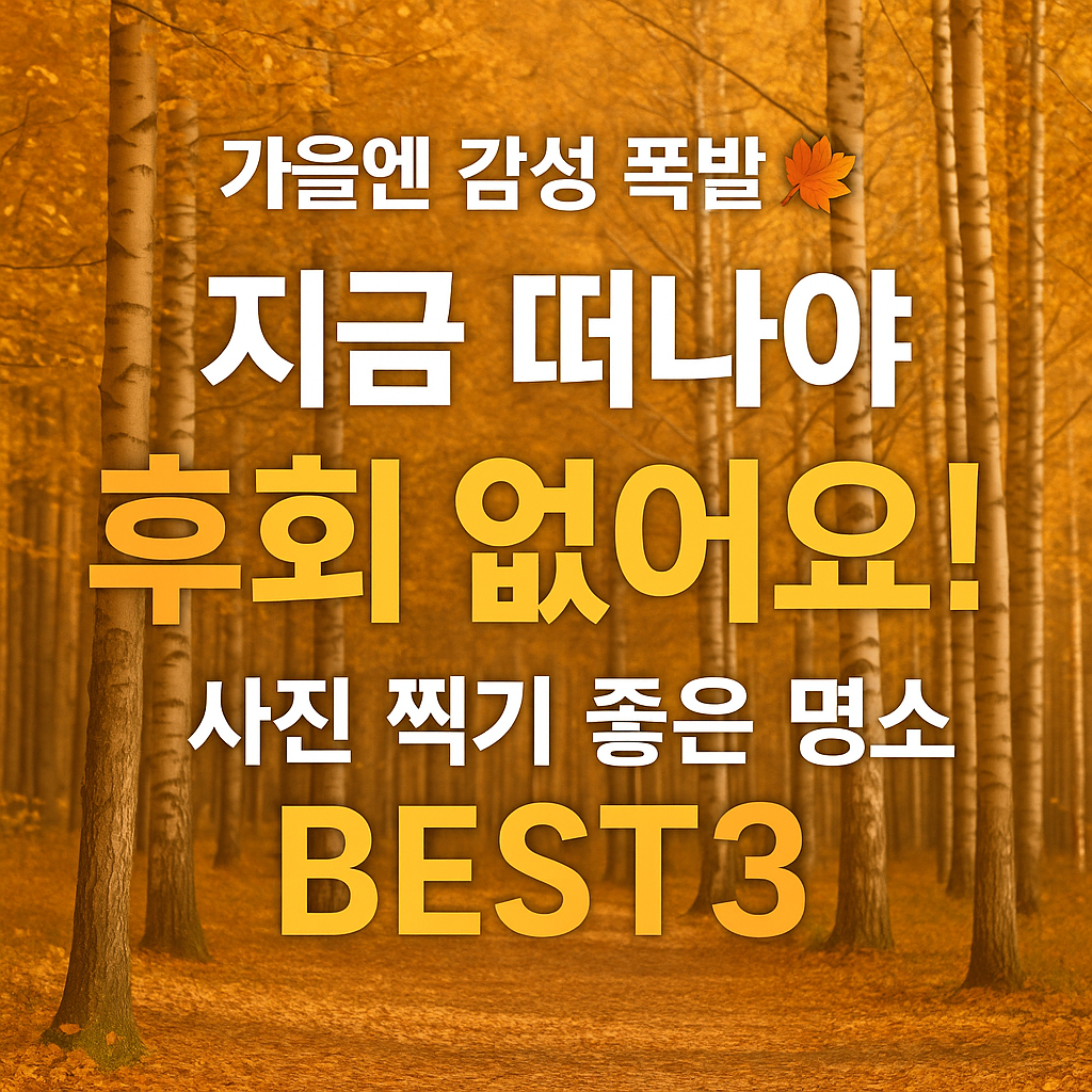 9월에 안 가면 후회하는 국내 감성 여행지 BEST3