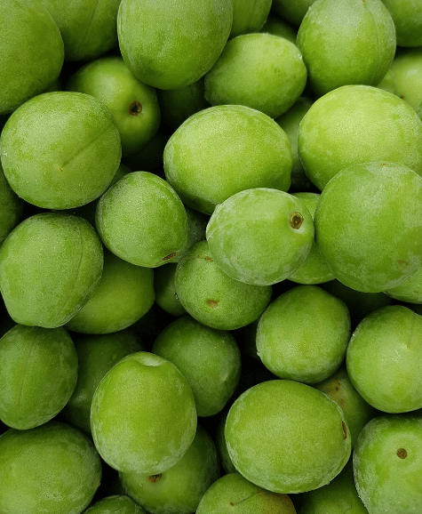 더위에 좋은 음식 - 7