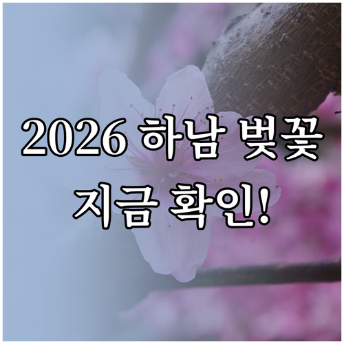 2026 하남 벚꽃 개화 시기 및 만..