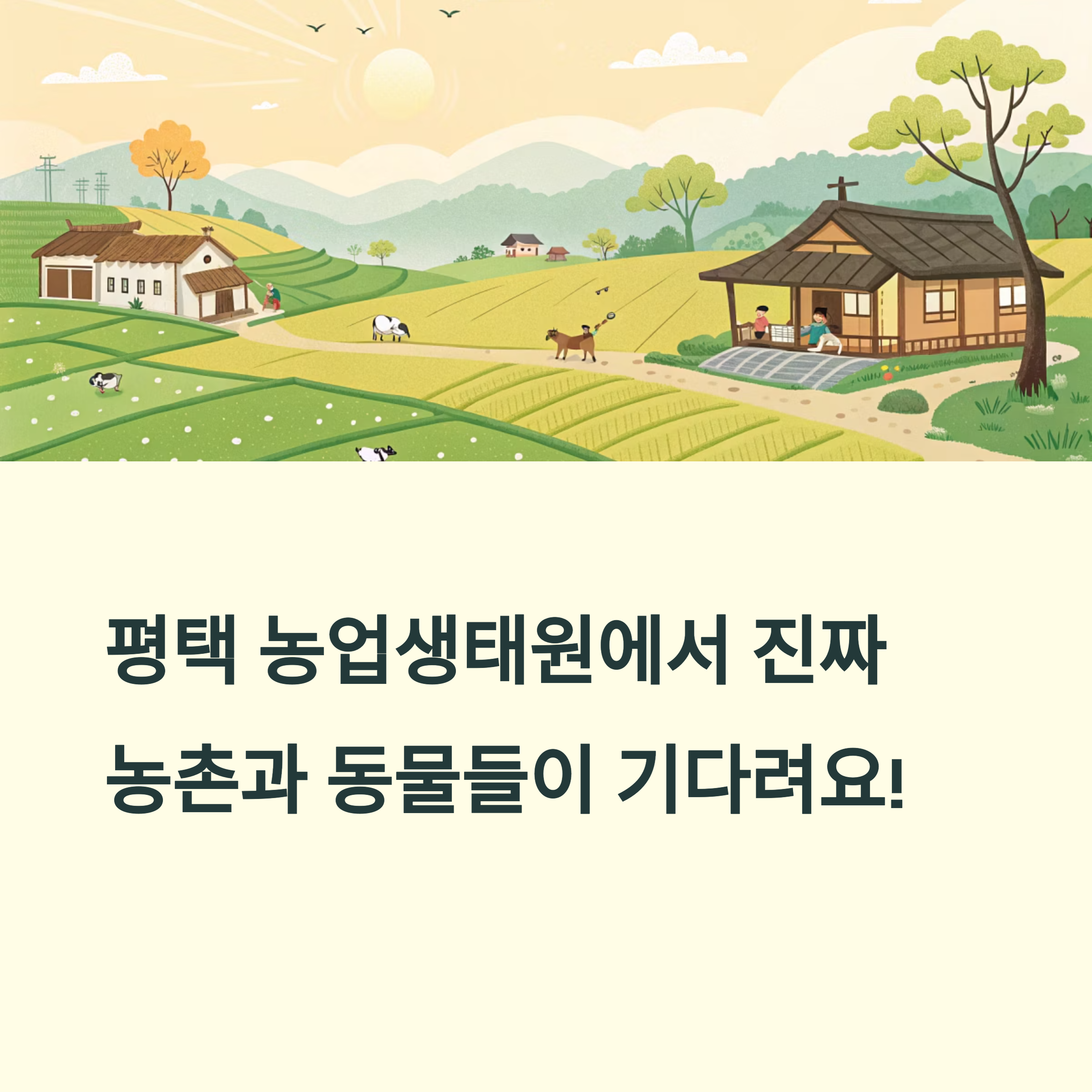 평택 농업생태원, 농촌 체험과 동물 교감이 함께하는 힐링 장소
