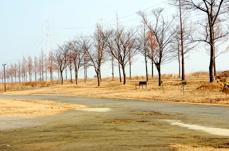 대부도파크골프장 (대부바다향기테마파크 페스티벌파크,
메타세콰이어길 파크골프장)