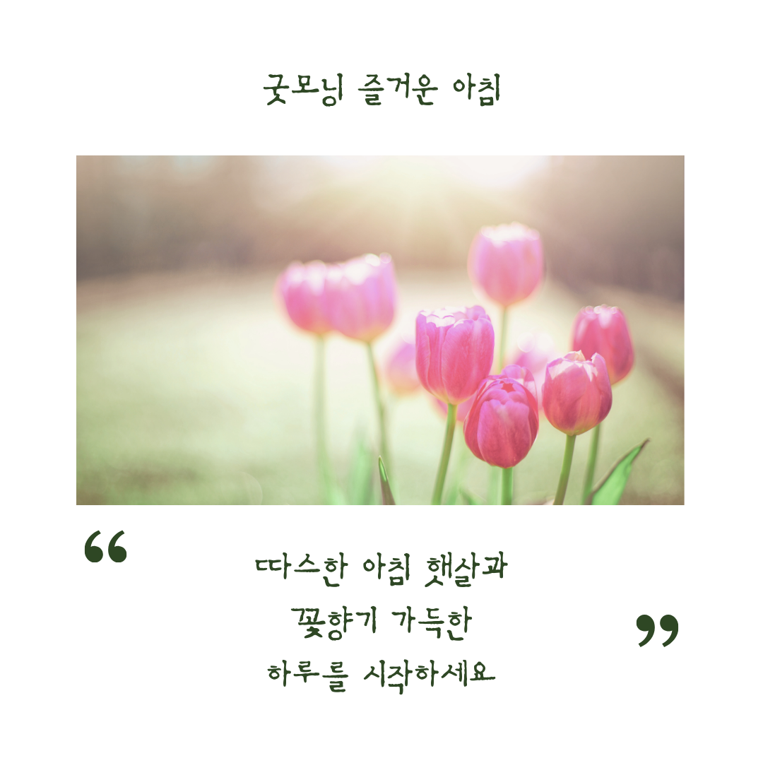 아침 인사로 좋은 글 모음 문구 이미지