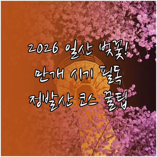 2026년 일산 벚꽃 만개 시기 및 ..