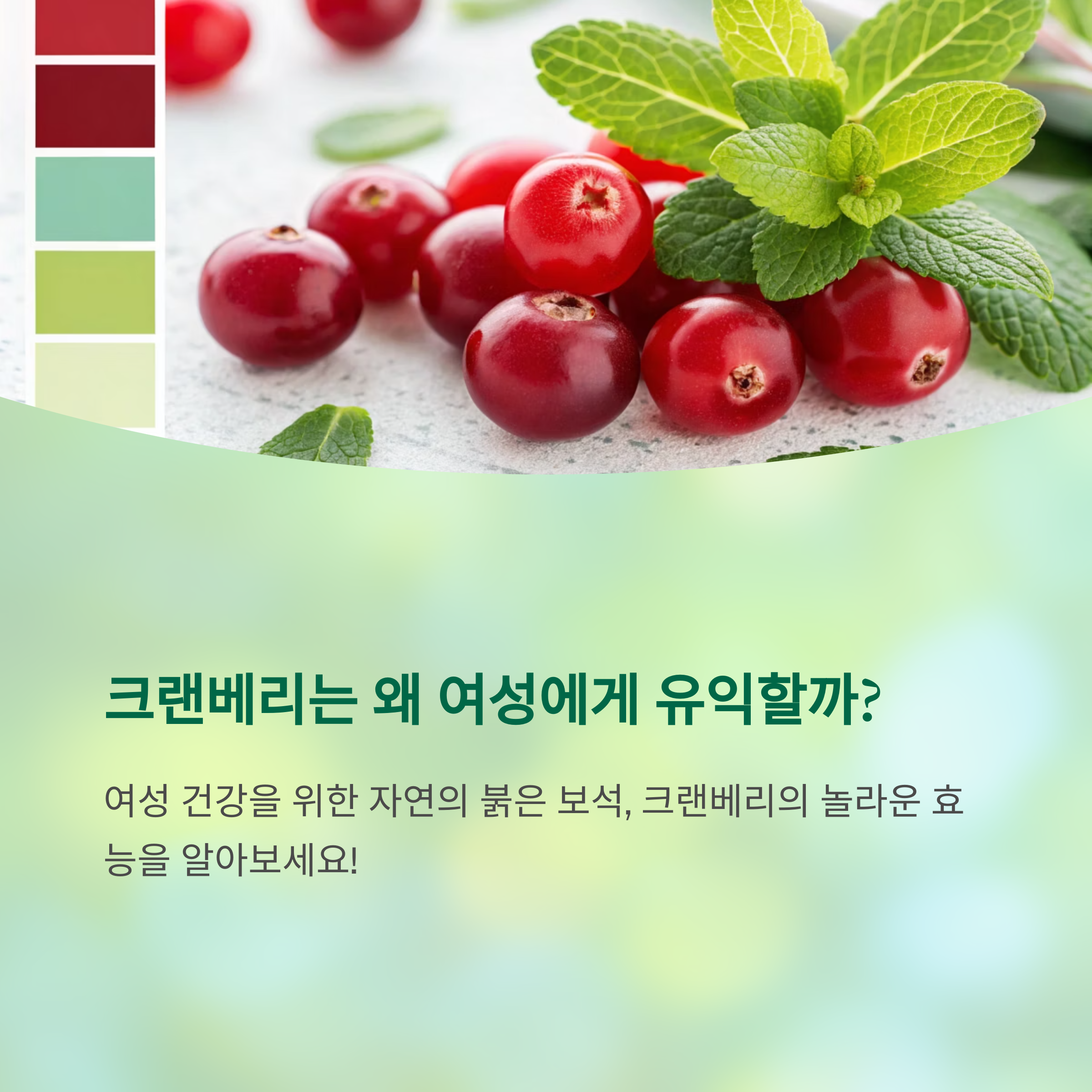 여성 건강을 지키는 슈퍼푸드, 크랜베리의 비밀