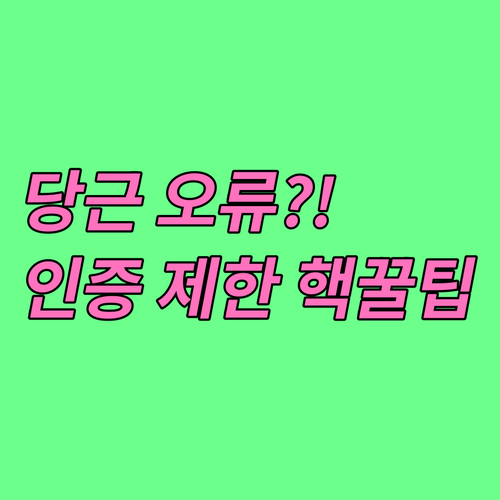 비정상적 인증 제한 당근마켓 오류 발..