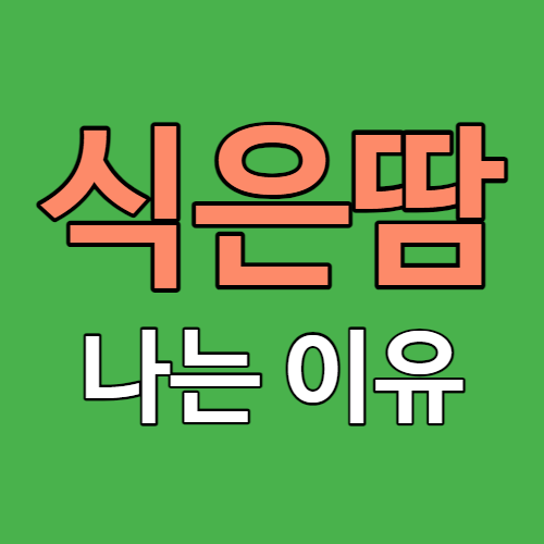 식은땀 나는 이유 썸네일