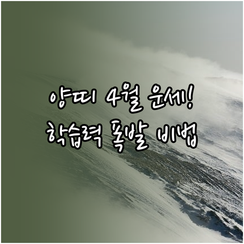 2015년생 양띠 4월 운세 정보 교..