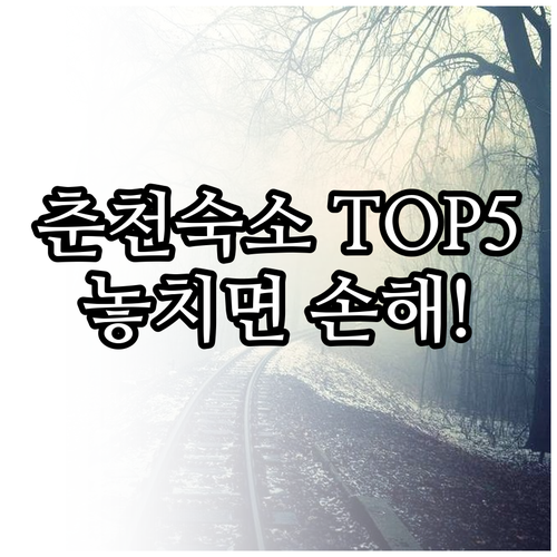 춘천 여행 숙소 베스트 5 더잭슨나인..