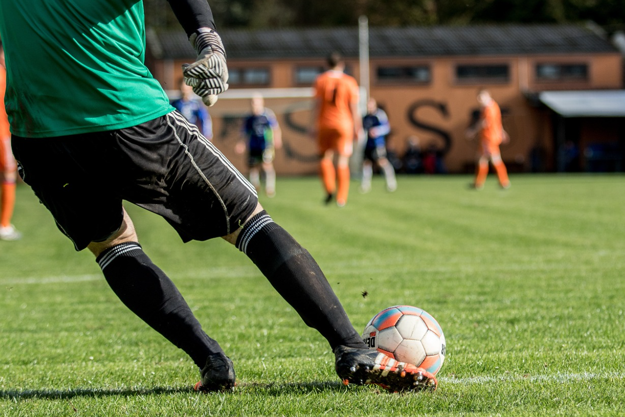 포르투칼 축구 관련 이미지