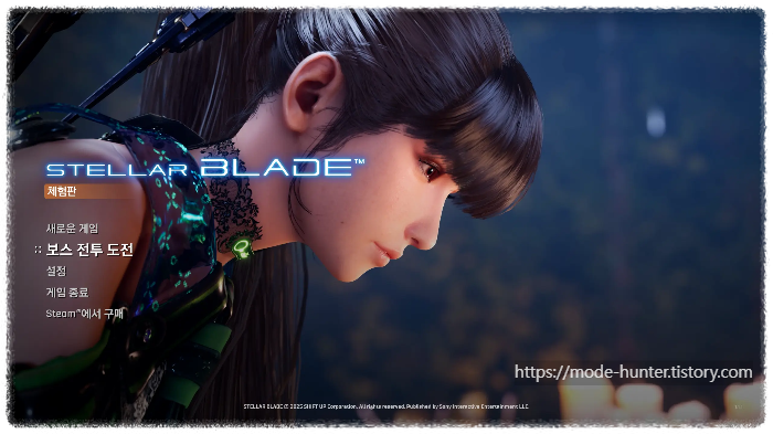 보스 전투 도전