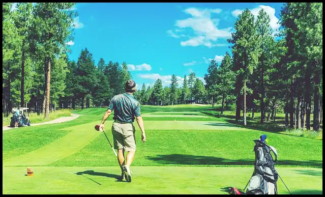 파크골프의 기본자세 (+ 퍼터 )