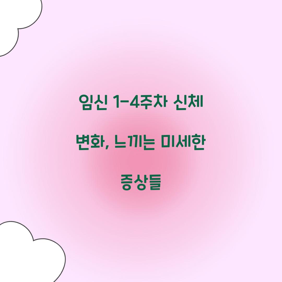 임신 1-4주차 신체 변화