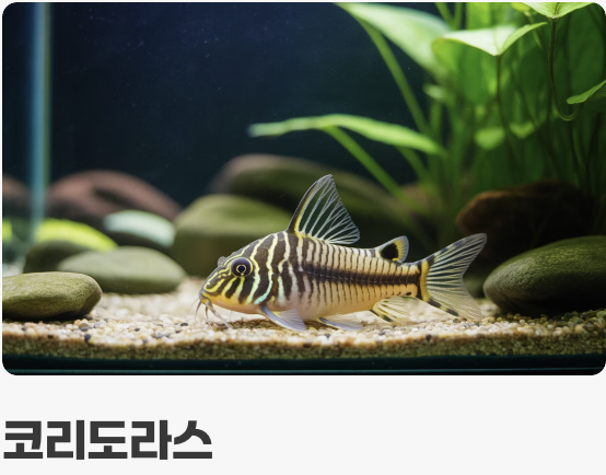 첫 식구를 맞이하는 시간