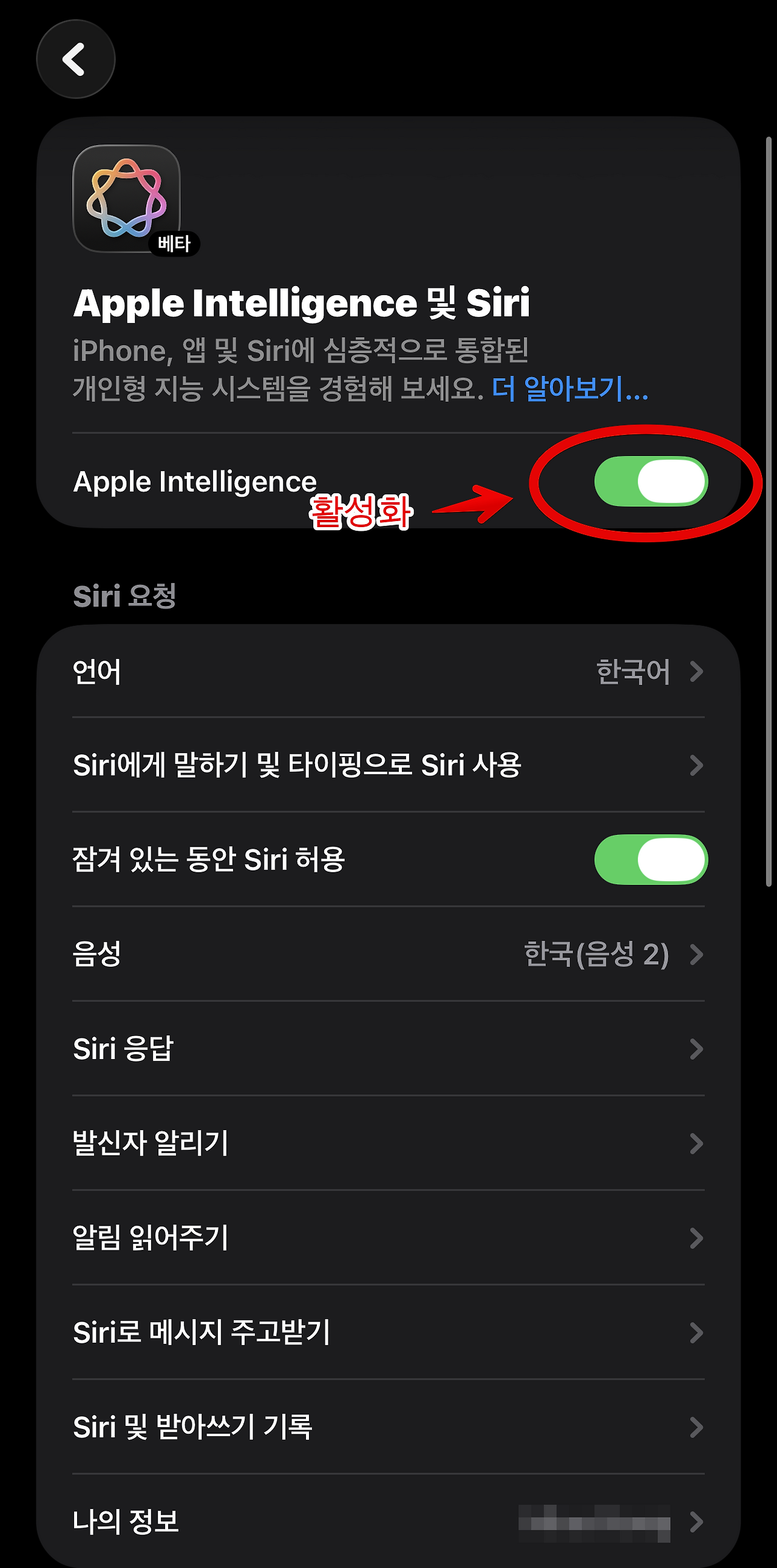 아이폰 유저 필수! iOS 26 번역 기능 설정과 Siri·ChatGPT 활용법 4 아이폰 유저 필수! iOS 26 번역 기능 설정과 Siri·ChatGPT 활용법
