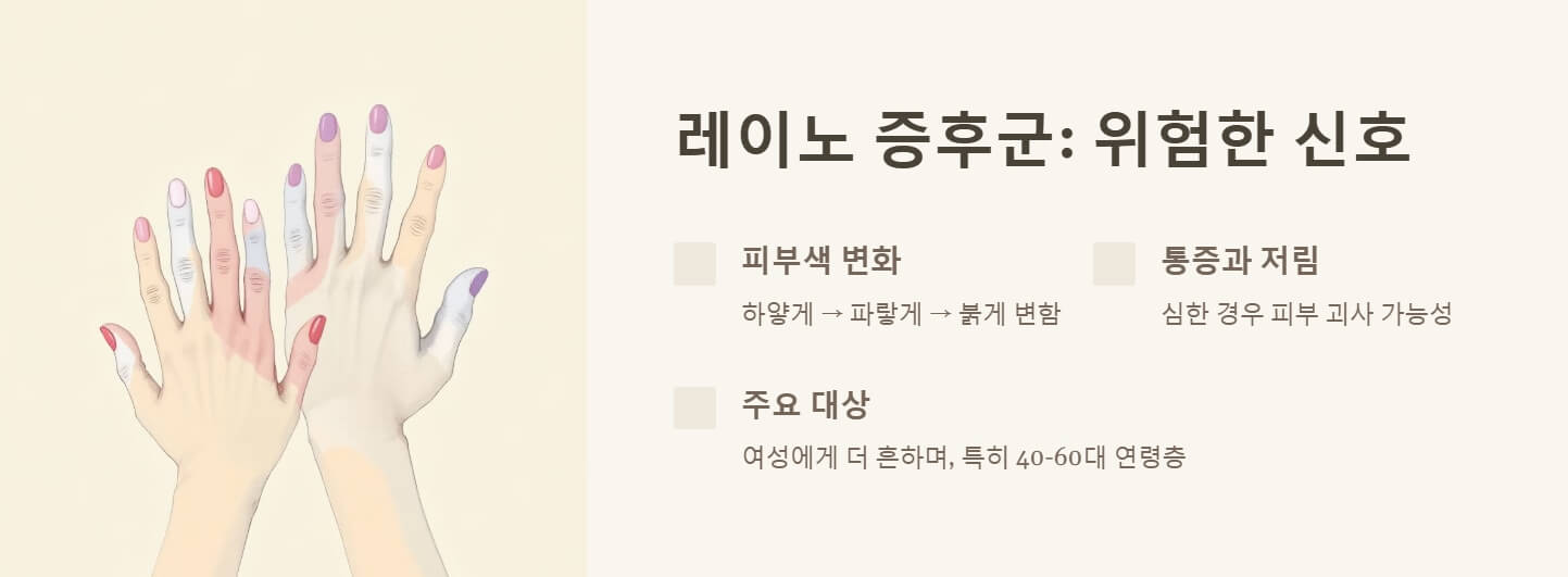 손발이 차가운 이유