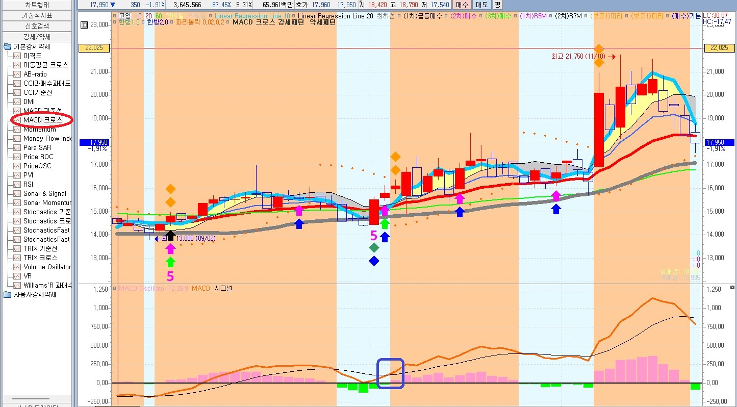 강세 약세 설정 관련 자료
