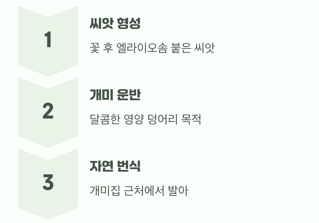 개미와 나누는 사랑의 씨앗