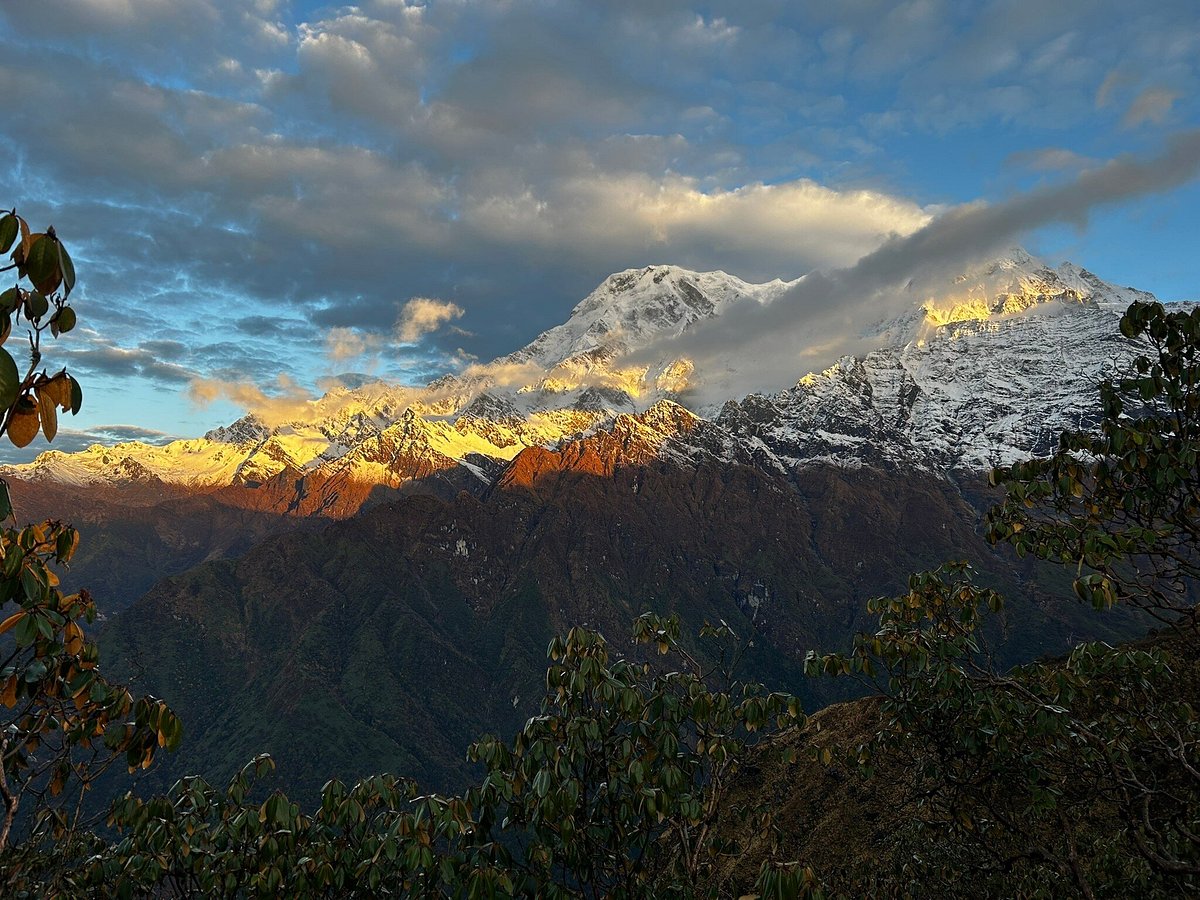 뿌카리 서식지 (Phu Kari)