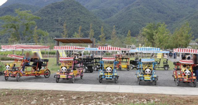 [5월 축제]포천 한탄강 가든페스타❘기간, 일정, 프로그램, 반려가족 여행지