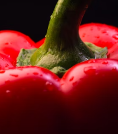 파프리카 효능 부작용 고르는법 칼로리