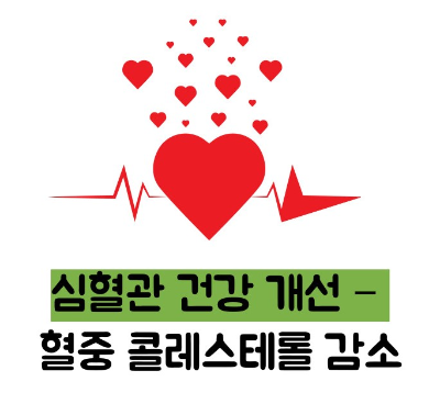 아보카도 효능