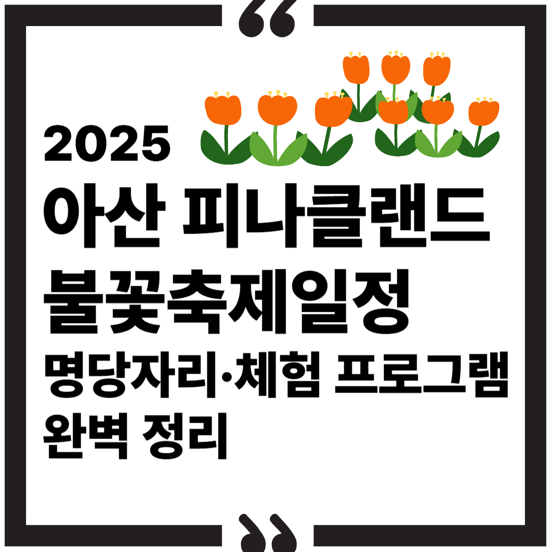 2025 아산 피나클랜드 불꽃축제|일정·명당자리·체험 프로그램까지 완벽 정리 썸네일 이미지
