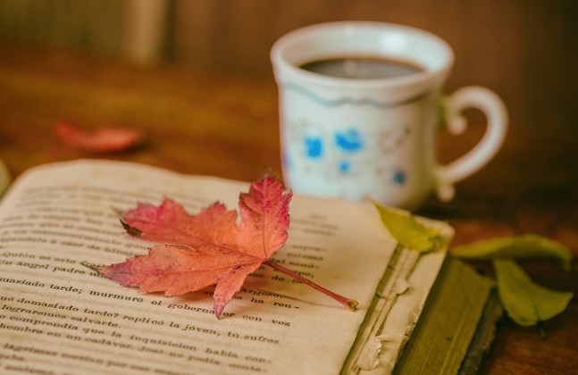 도서-단풍잎-커피