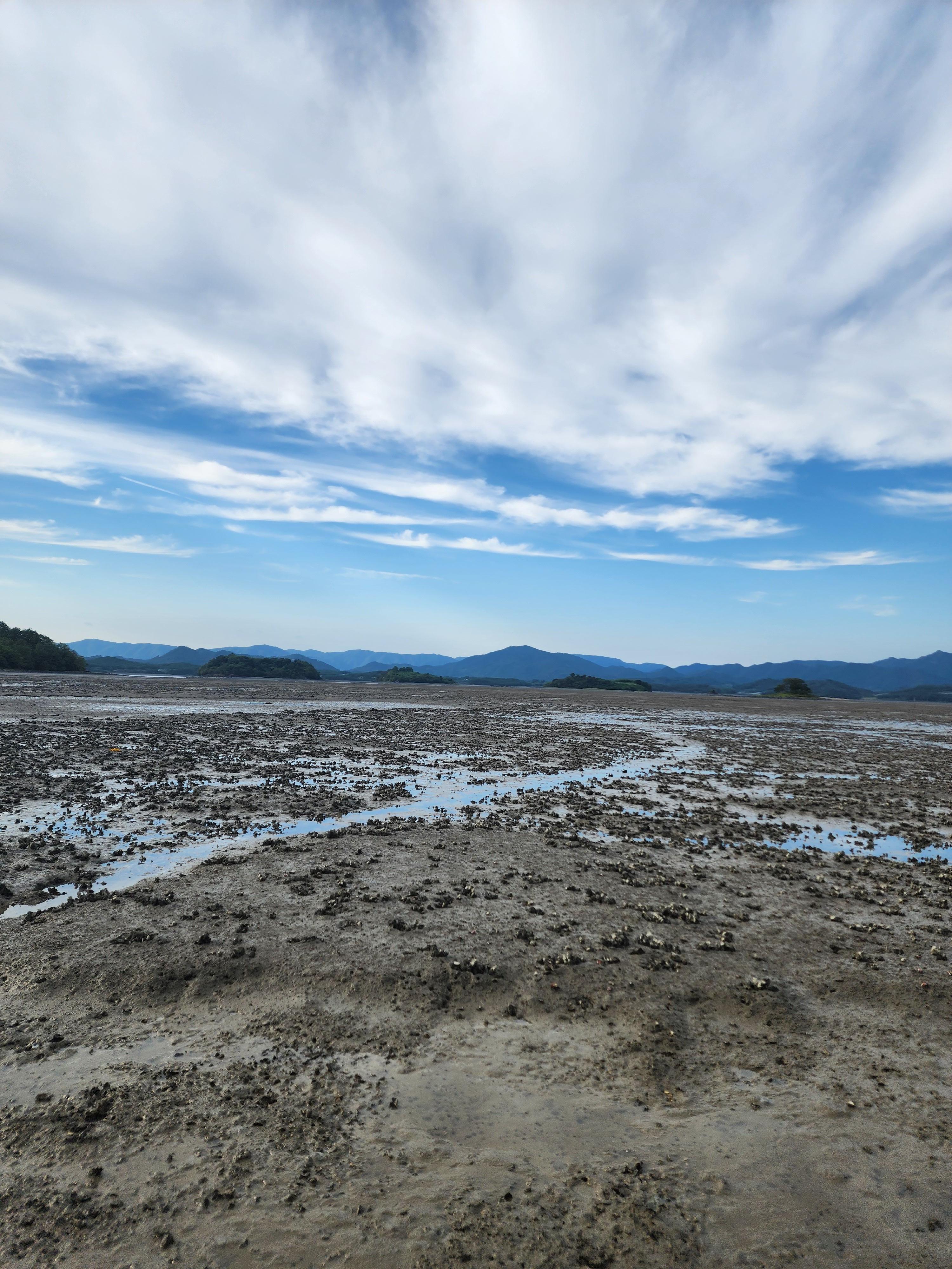 Alt 속성 문제 해결 설명 이미지