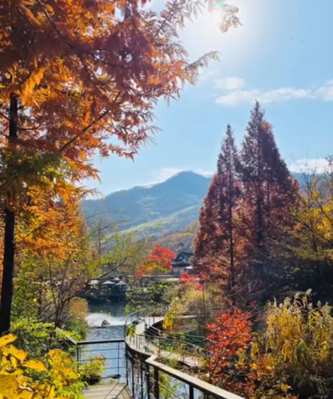 화담숲 단풍시기 예약 단풍명소