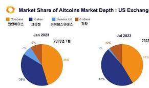 2025년 코인 시장 대혼란
