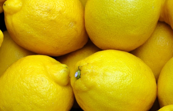 기침 가래에 좋은 레몬 사진입니다.