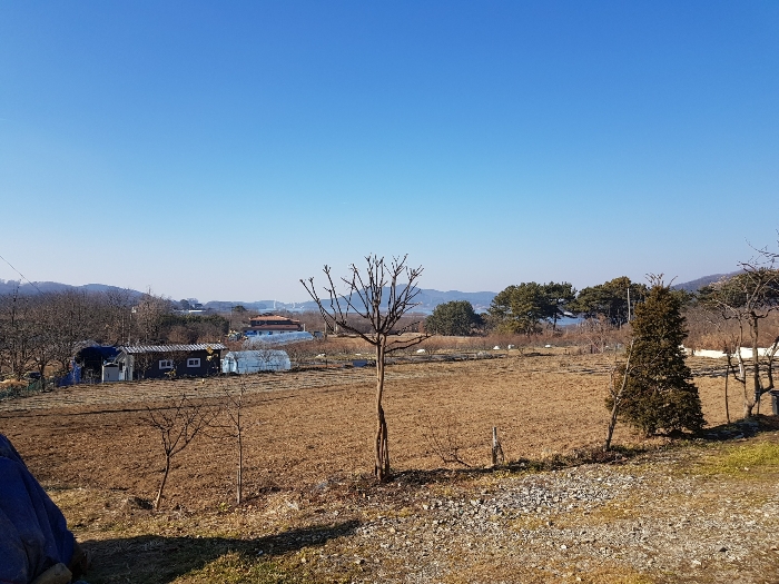 논산지원2021타경2666 본건 기호(1)토지 전경 : 동측에서 촬영