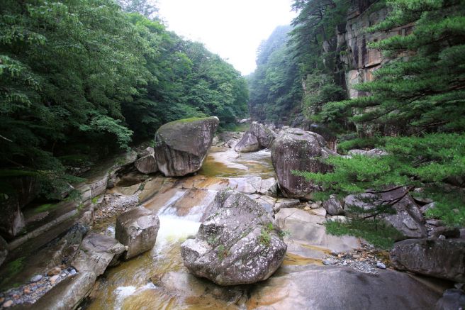 동해 북평 5일장 주변 여행지 추천