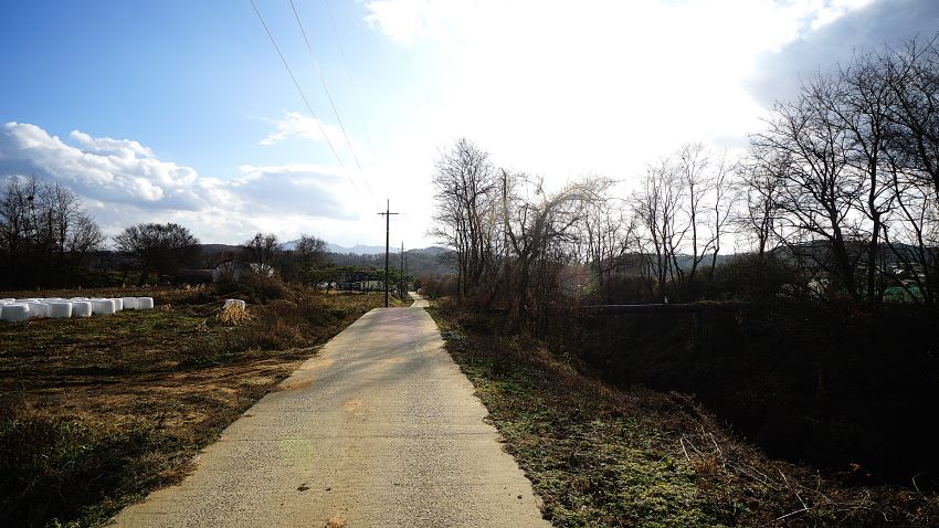 햇살이 환하게 비추이는 농로, 좌 우에 잡목, 잡초, 왼쪽에 들판, 푸른 하늘, 흰구름,