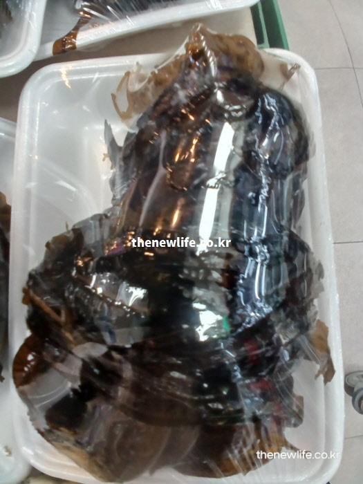 당뇨에 좋은 음식 물에 불린 미끌미끌한 초록색 미역 실물