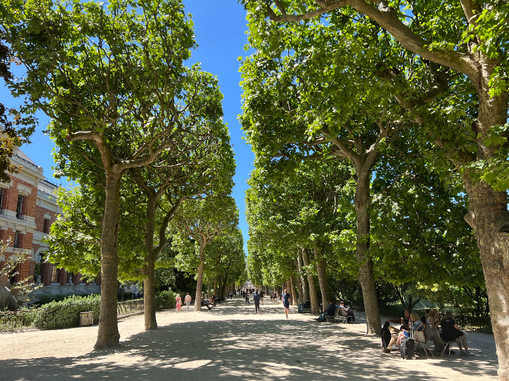 파리 식물원 : Jardin des Plantes