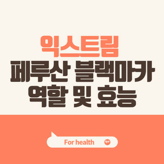 표지 사진