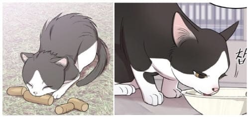 내남편과결혼해줘-팡이