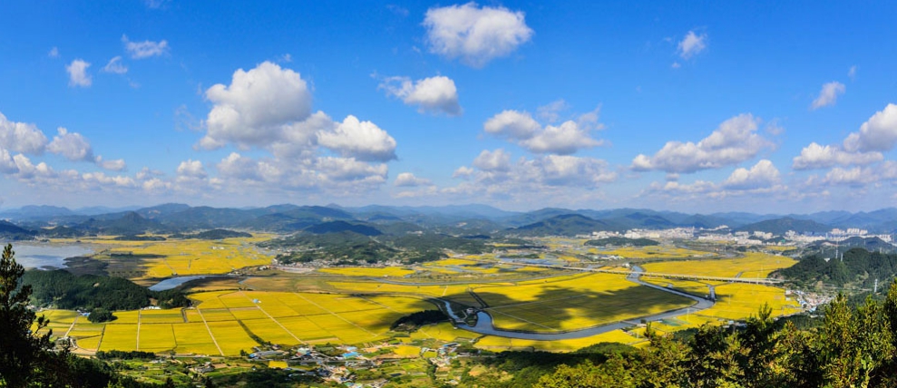 순천만 습지 생태공원