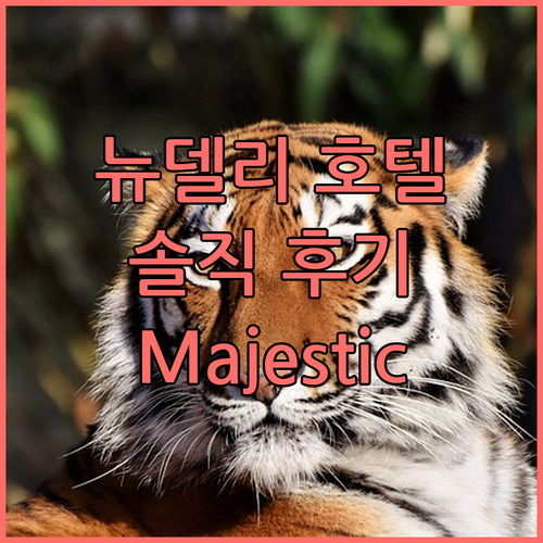 뉴델리 호텔 예약 전 필독! Maje