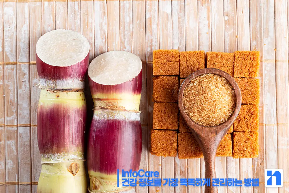 폴리코사놀 효능 효과 복용법 부작용 추천 쿠바산