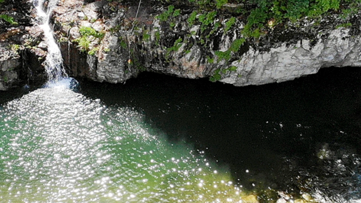 Gyeonggi-do valley nature and pension introduction